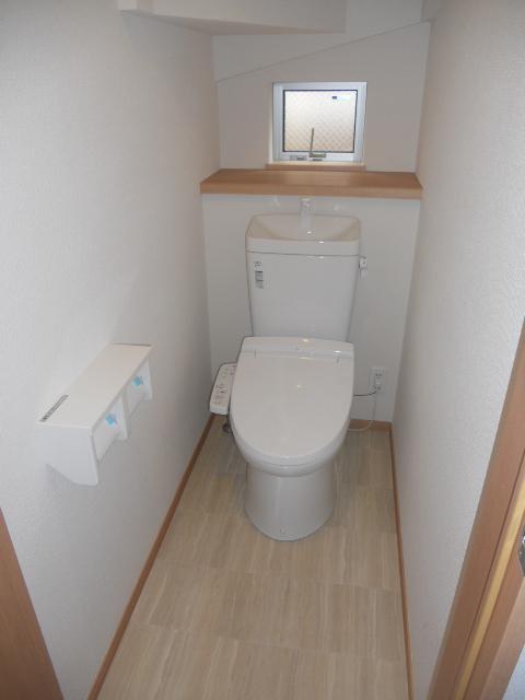 Toilet. Shower toilet