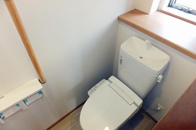 Toilet. Indoor (24 December 2013) Shooting