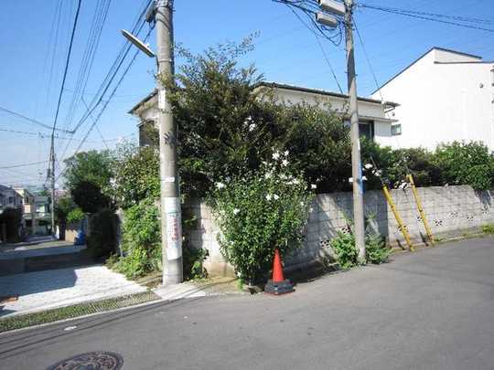 Local land photo. Local Photos