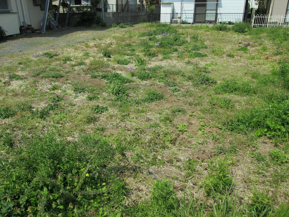 Local land photo. Local (April 2013) Shooting