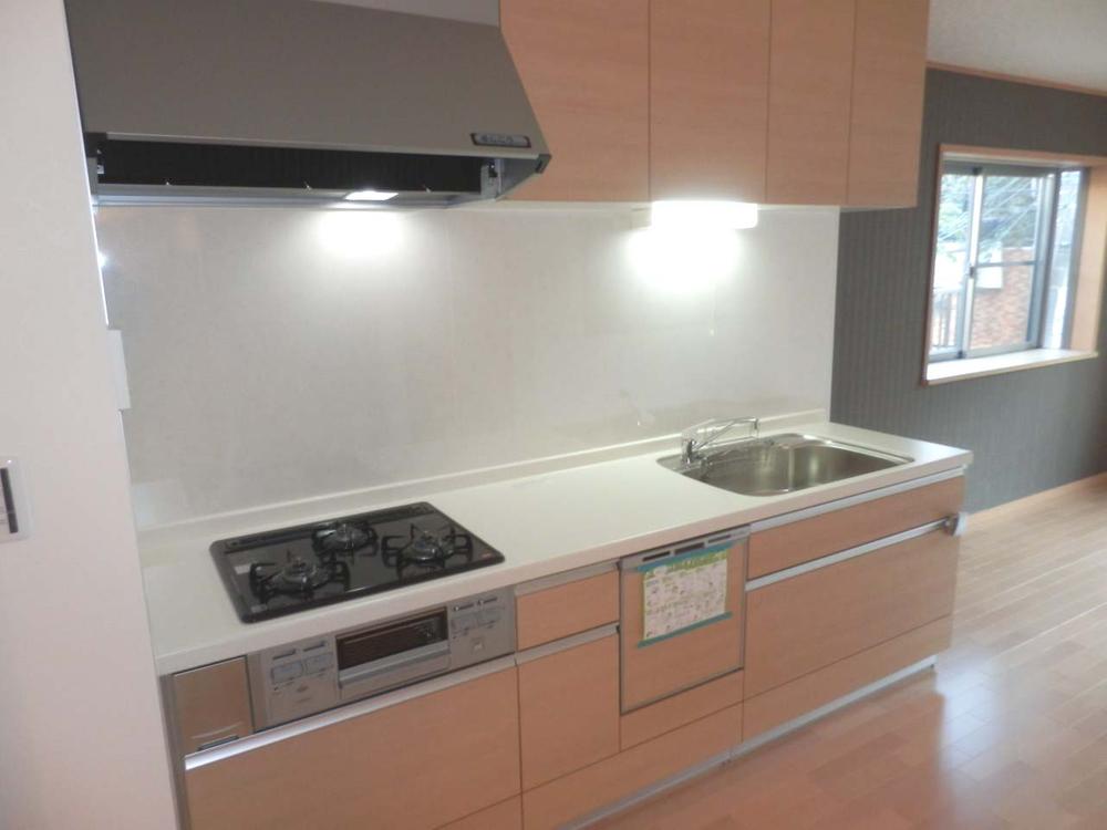 Kitchen. Indoor (December 3, 2013) Shooting kitchen