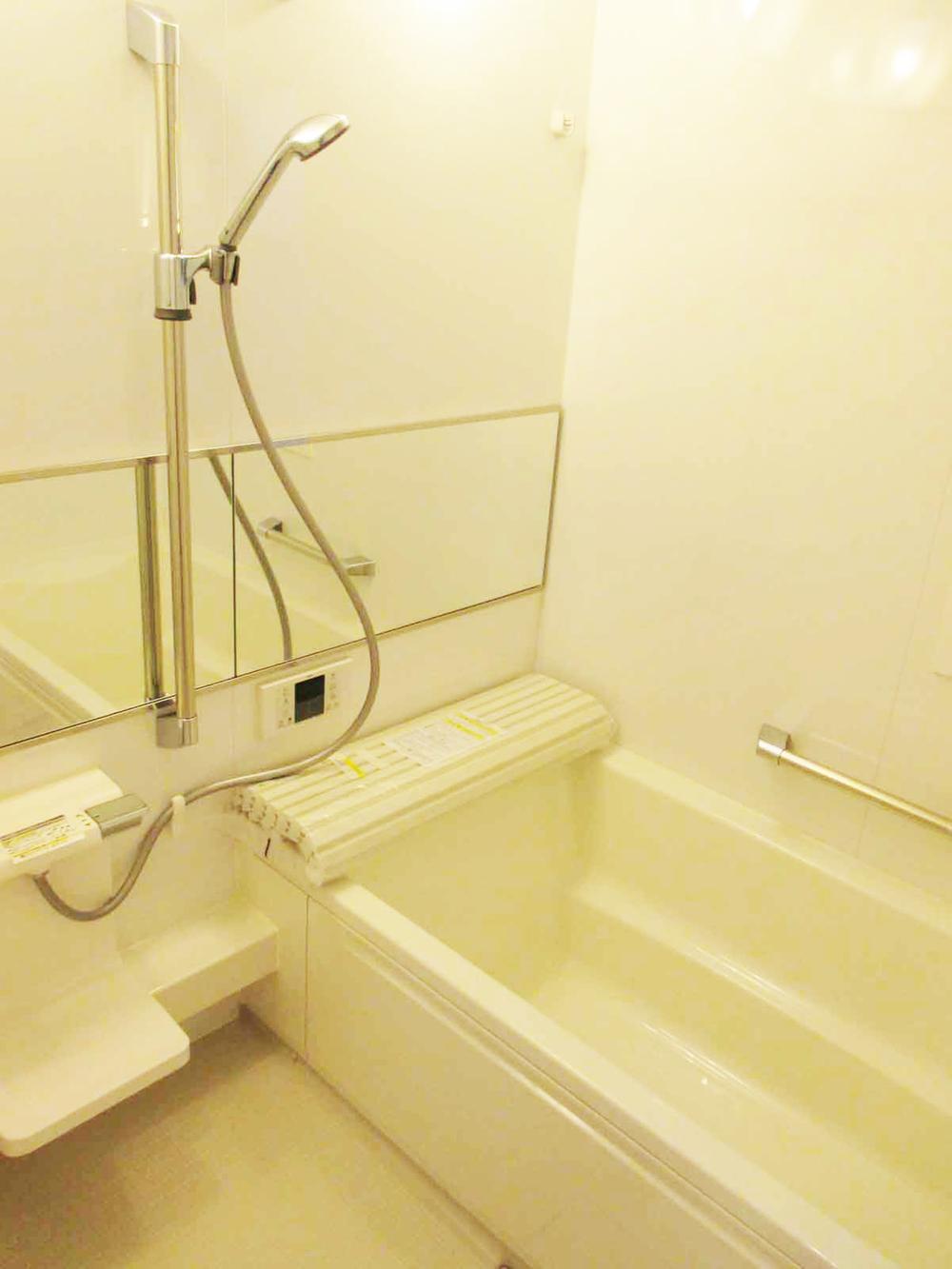 Bathroom. Indoor (10 May 2013) Shooting