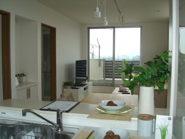 Living. Indoor (2013 years) Shooting