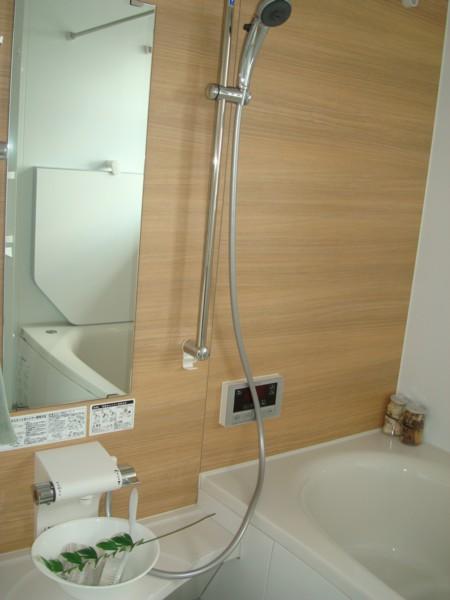 Bathroom. Bathroom (June 2013) Shooting