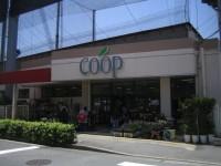 Supermarket. 640m until Coop Kanagawa Idasanmai shop