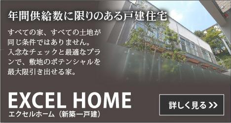 Other. Detached houses of limited to the annual number of supply