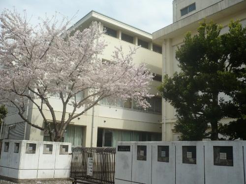 Junior high school. 786m to the Kawasaki Municipal Minamikase junior high school