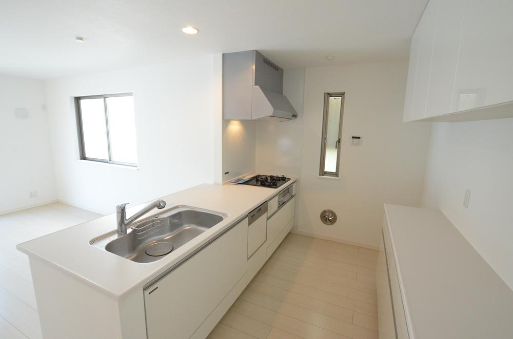 Kitchen. Indoor (10 May 2013) Shooting