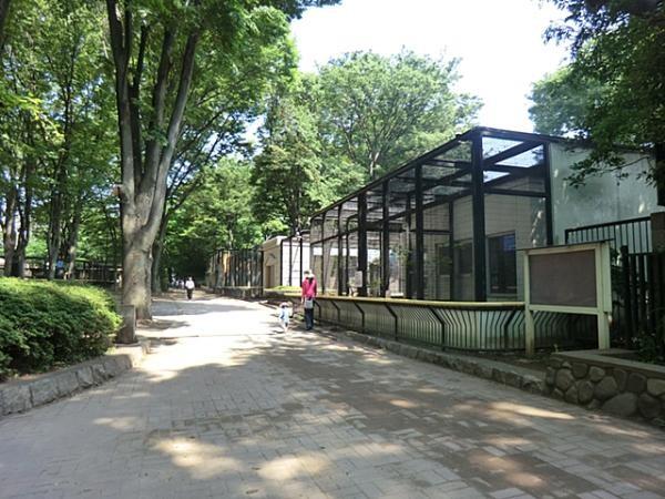 park. 850m until dreamed months Saki animal park