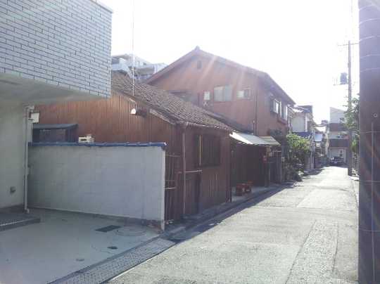 Local land photo. Appearance 1