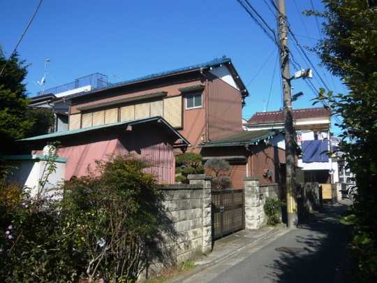 Local land photo. Appearance (1)