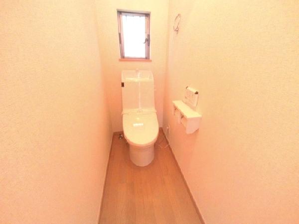 Toilet. Shower toilet