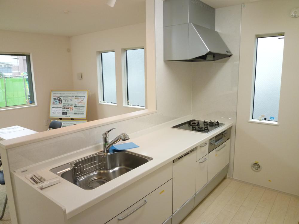 Kitchen. Open counter kitchen (dishwasher)