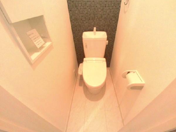 Toilet. Shower toilet