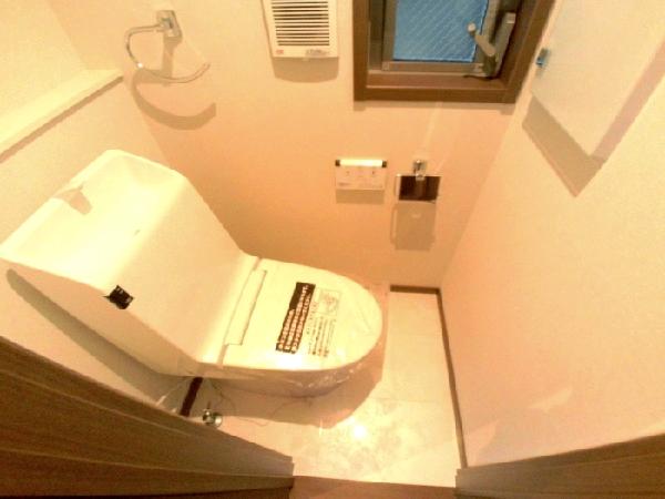 Toilet. Shower toilet