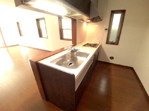 Kitchen. Counter kitchen with dishwasher