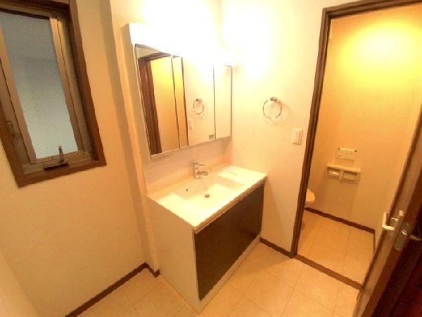 Wash basin, toilet. Basin space