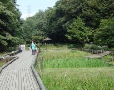 park. East Takane 600m to Forest Park