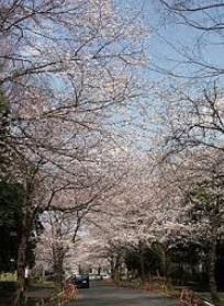 park. Midorigaoka 600m to cemetery