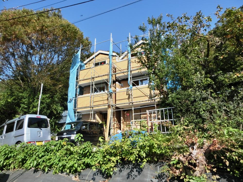 Local appearance photo. Local is good per sun.