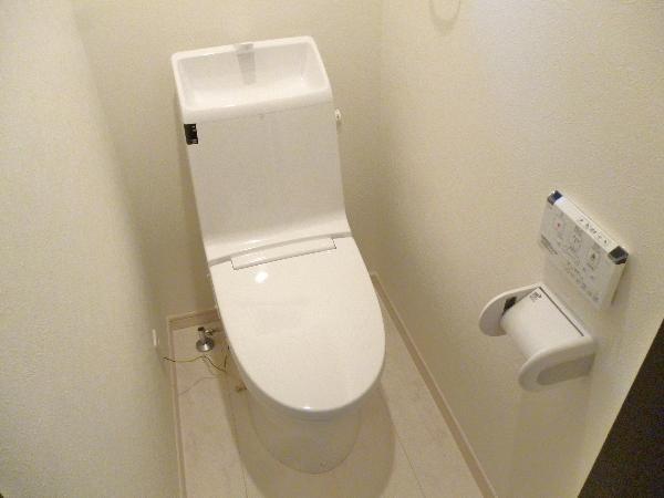 Toilet. Shower toilet