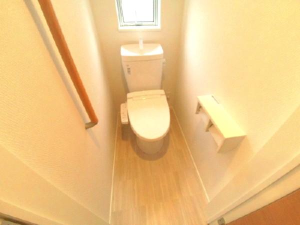 Toilet. Shower toilet