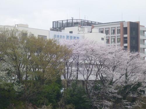 Hospital. Ida hospital