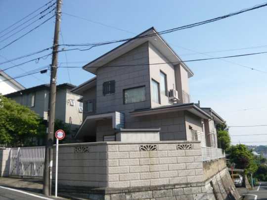 Local land photo. appearance