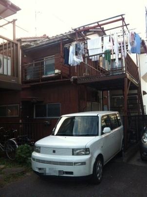 Local land photo. Appearance (1)