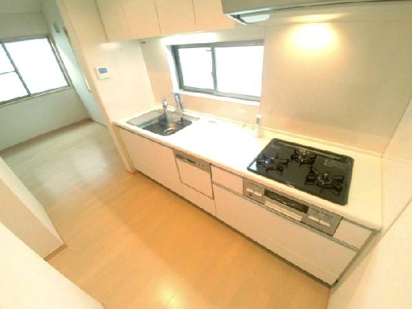 Kitchen. System kitchen with a dishwasher