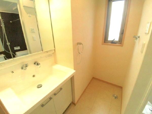 Wash basin, toilet. Shampoo dresser