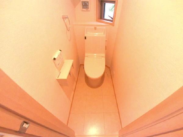 Toilet. Shower toilet