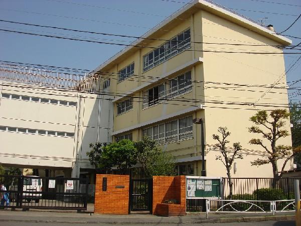 Junior high school. Mukogaoka 1000m until junior high school