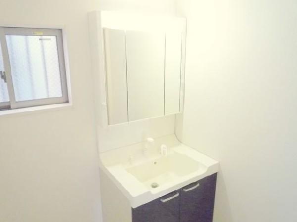 Wash basin, toilet. Bathroom vanity