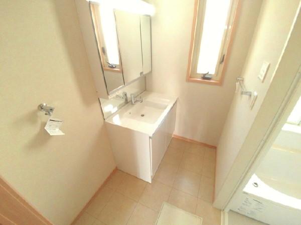 Wash basin, toilet. Basin space