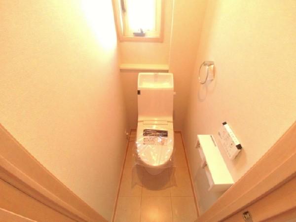 Toilet. Shower toilet