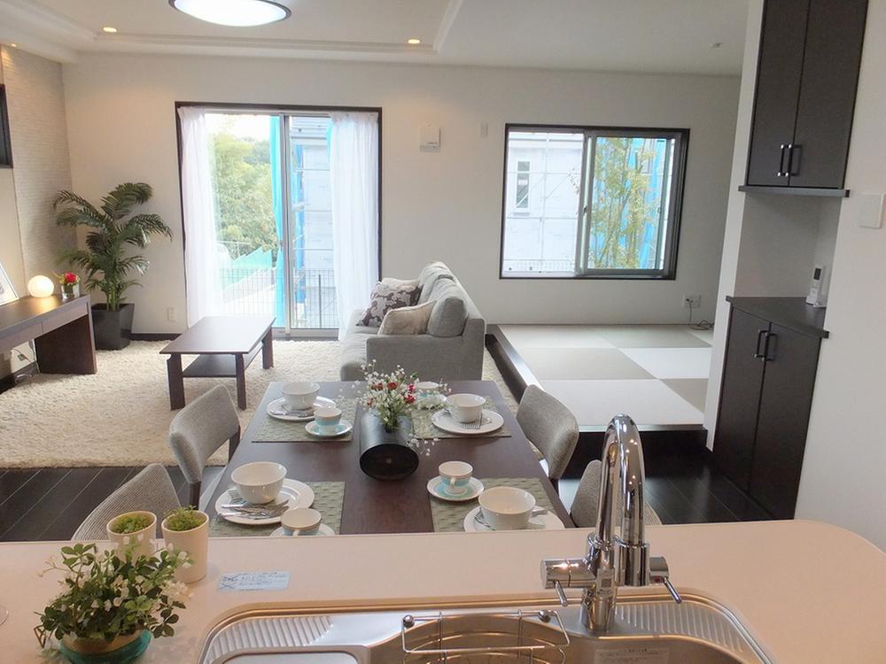 Living. Indoor (10 May 2013) Shooting