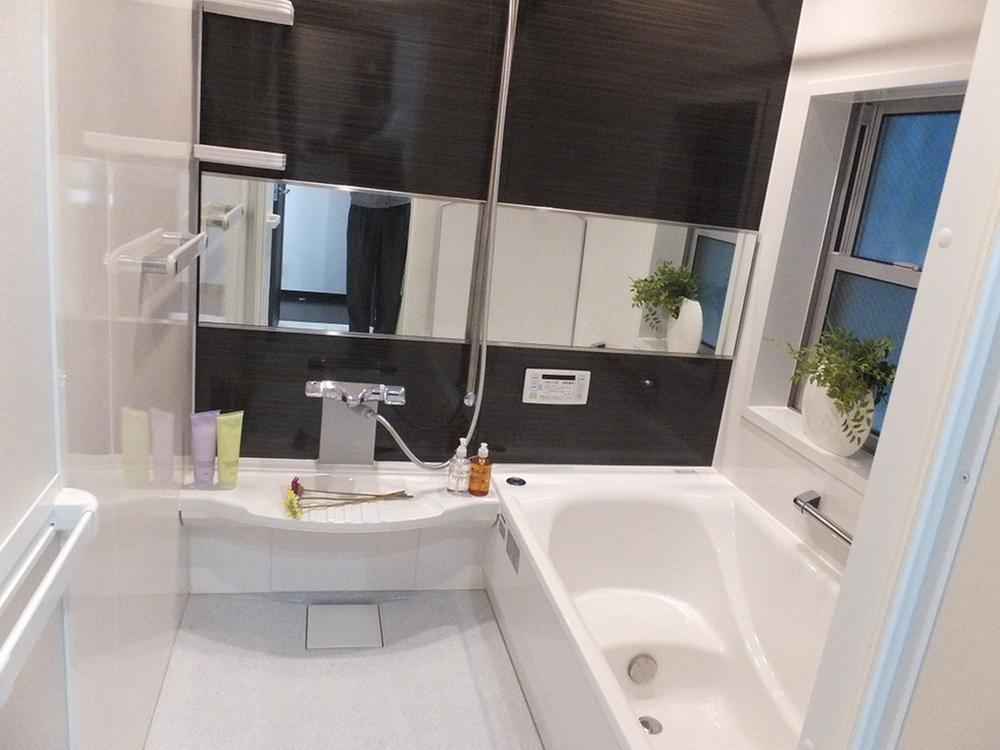 Bathroom. Indoor (10 May 2013) Shooting