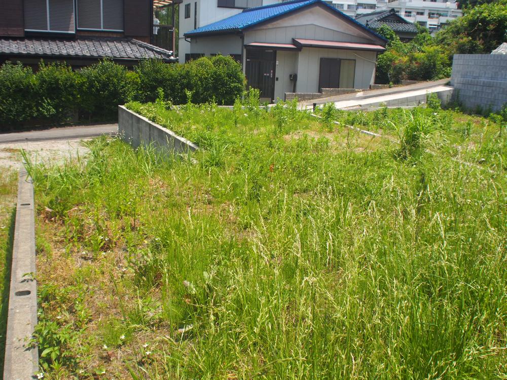 Local land photo. Local (May 2013) Shooting