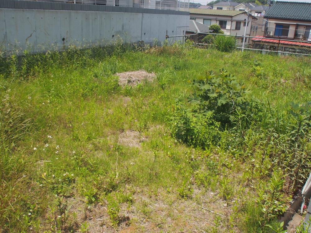 Local land photo. Local (May 2013) Shooting