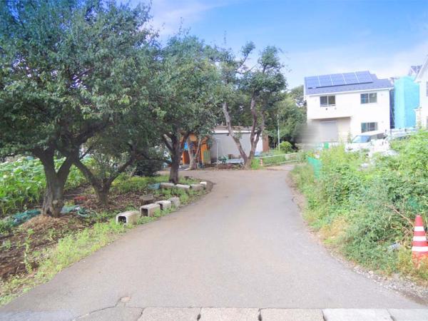 Local photos, including front road