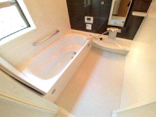 Bathroom. Mist sauna there