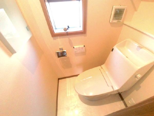 Toilet. Shower toilet