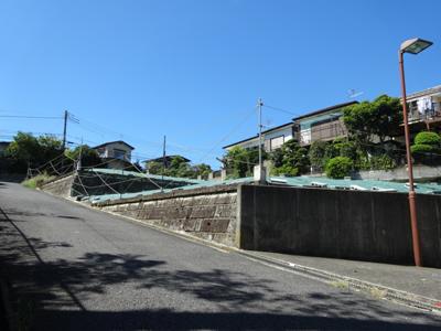 Local photos, including front road. Local (September 2013) Shooting