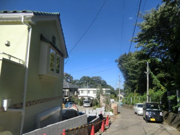 Local photos, including front road. Location is front with no car street