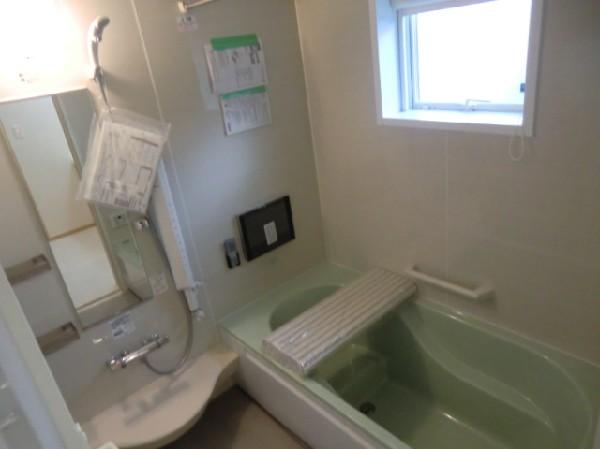 Bathroom. Mist shower, Bathroom with a TV