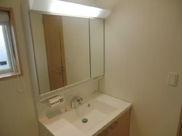 Wash basin, toilet. Bathroom vanity