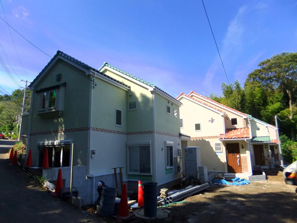 Local appearance photo. local