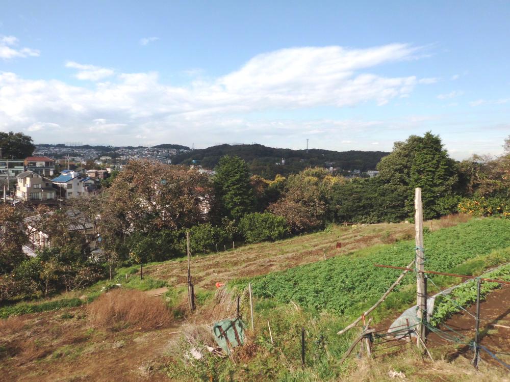 View photos from the local. Local (11 May 2013) Shooting