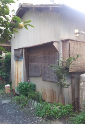 Local land photo. local